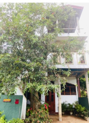 Mk House